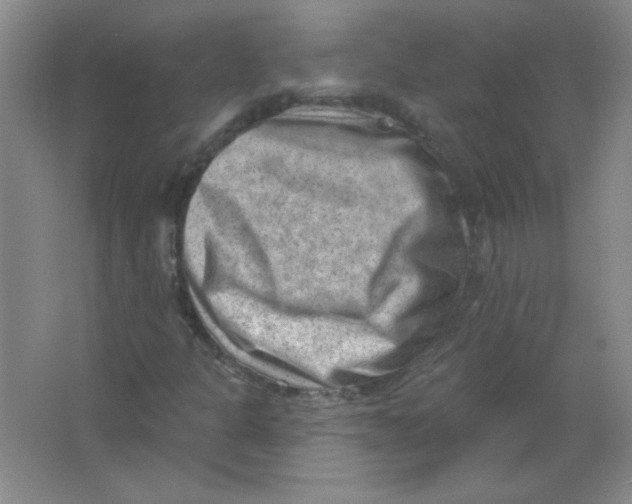 X0000063531301200602102007