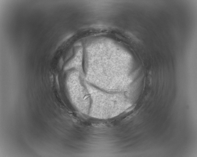 X0000063531302200602102007