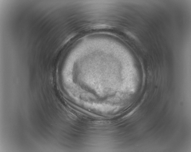 X0000063531305200602102007