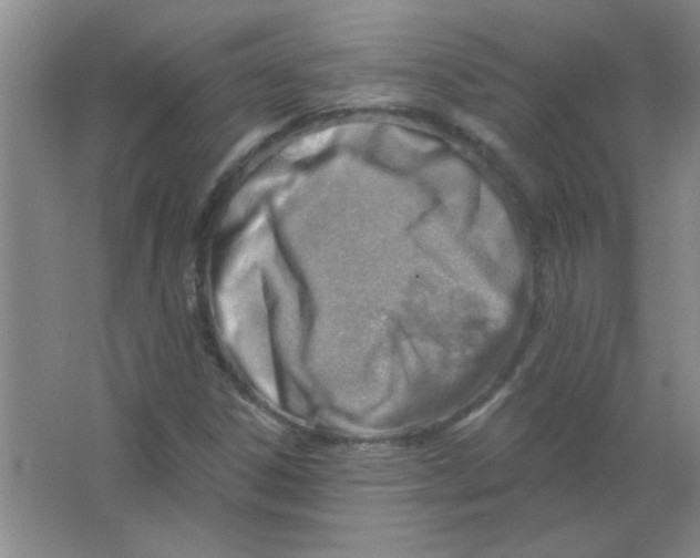 X0000063531306200602102007