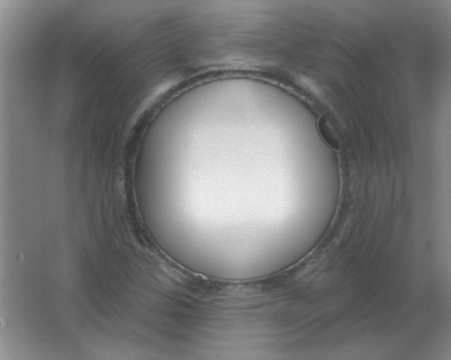 X0000063531307200602102007