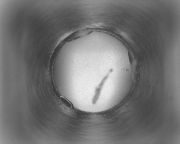 X0000063531308200602102007