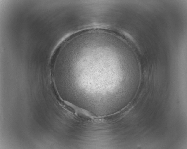 X0000063531310200602102007