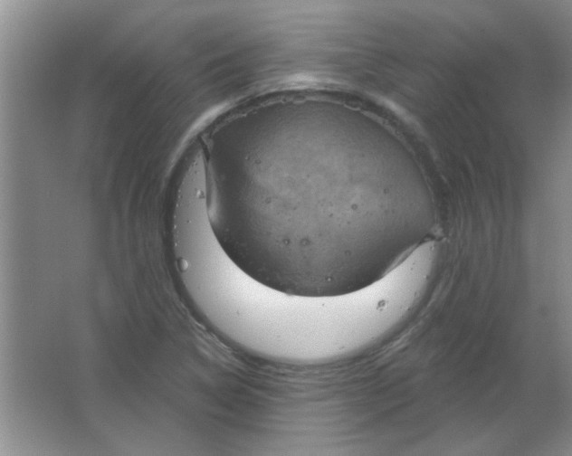 X0000063531314200602102007