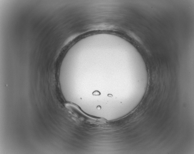 X0000063531315200602102007