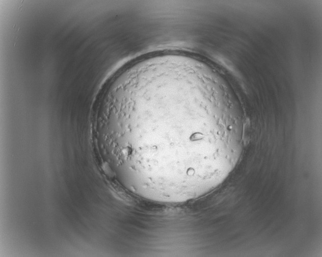 X0000063531316200602102007