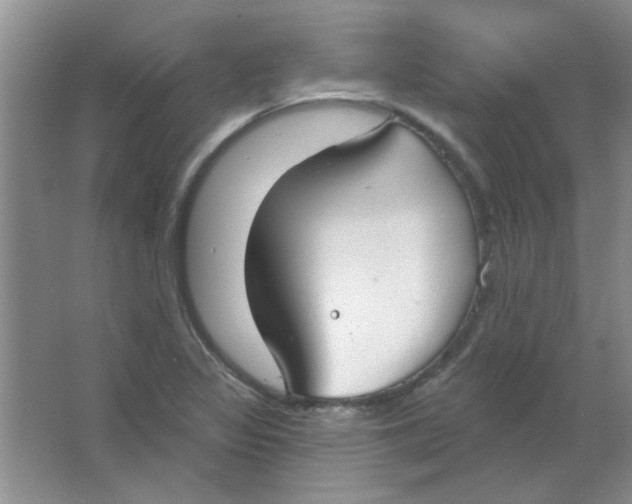 X0000063531317200602102007