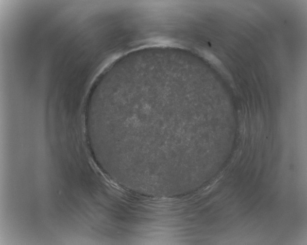 X0000063531318200602102007