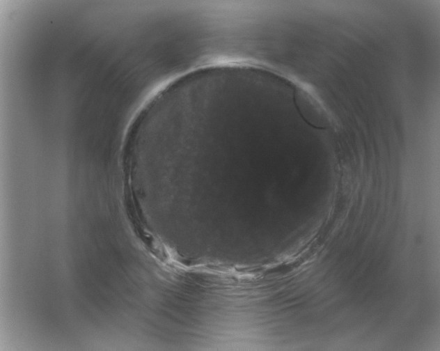 X0000063531319200602102007