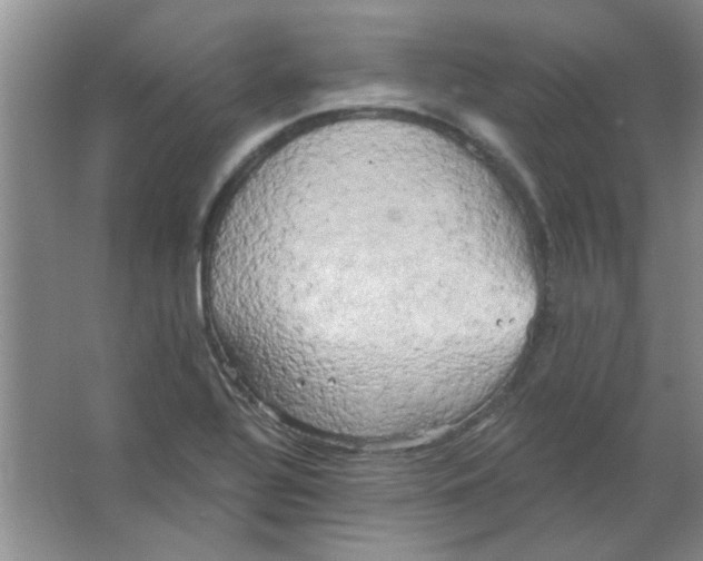 X0000063531320200602102007