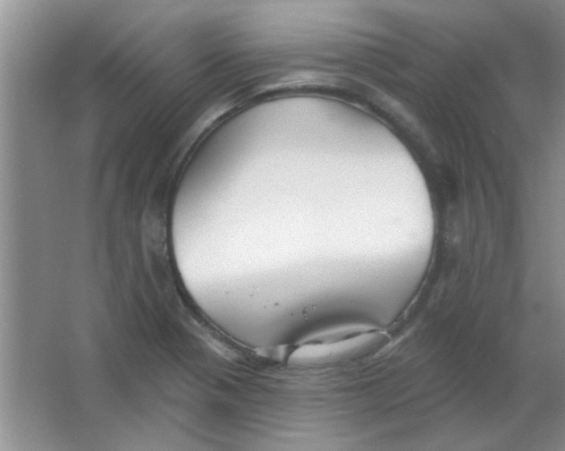 X0000063531321200602102007