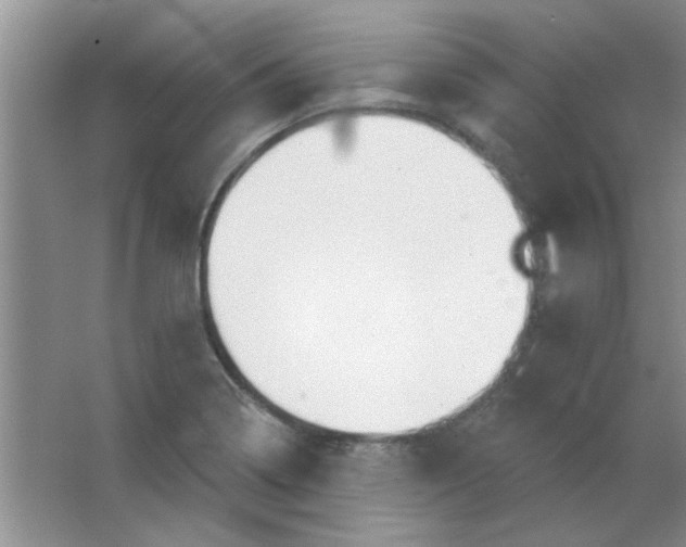 X0000063531322200602102007