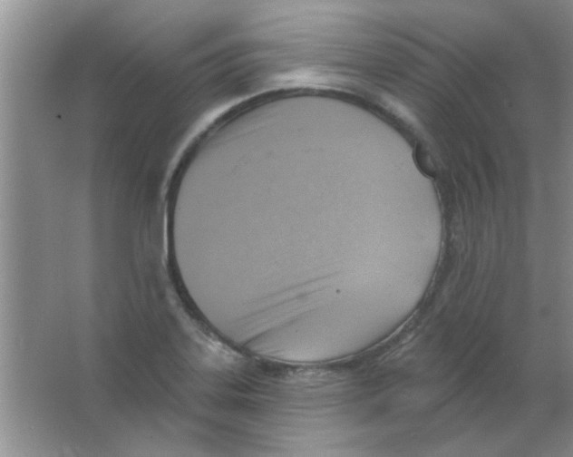 X0000063531323200602102007