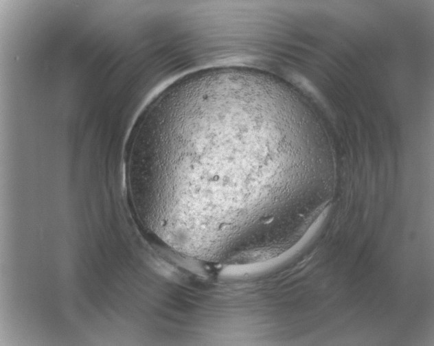 X0000063531324200602102007