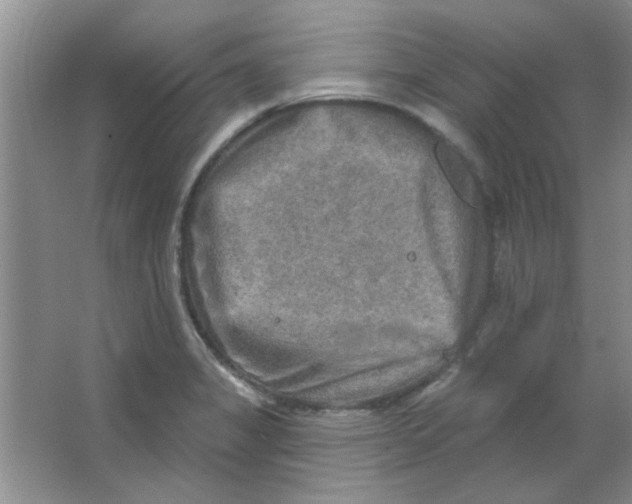 X0000063531325200602102007