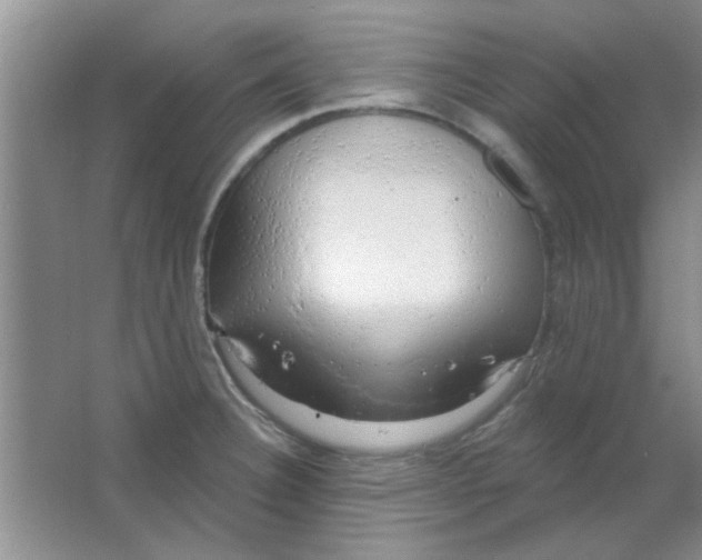 X0000063531332200602102007