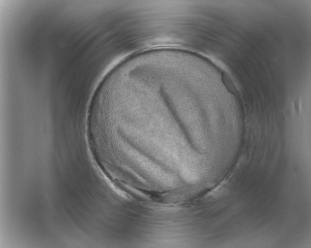 X0000063531333200602102007