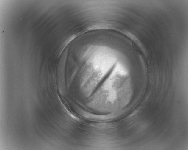 X0000063531337200602102007