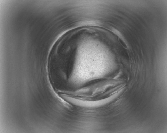 X0000063531339200602102007