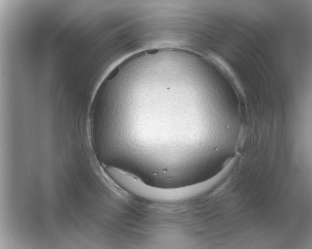 X0000063531340200602102007