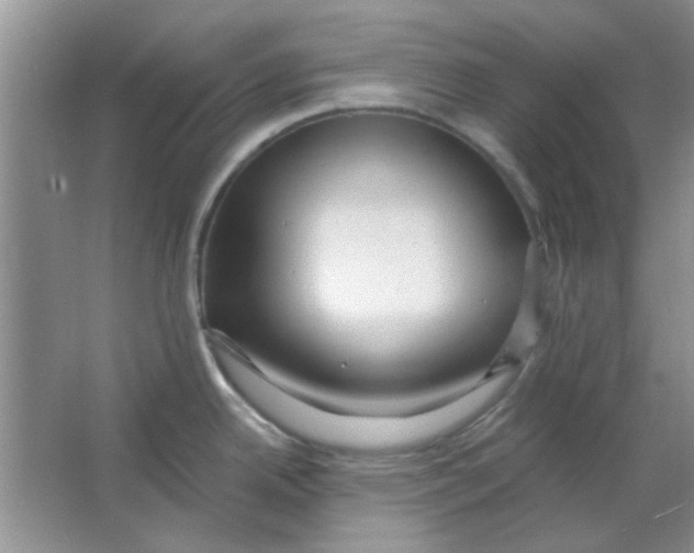 X0000063531342200602102007