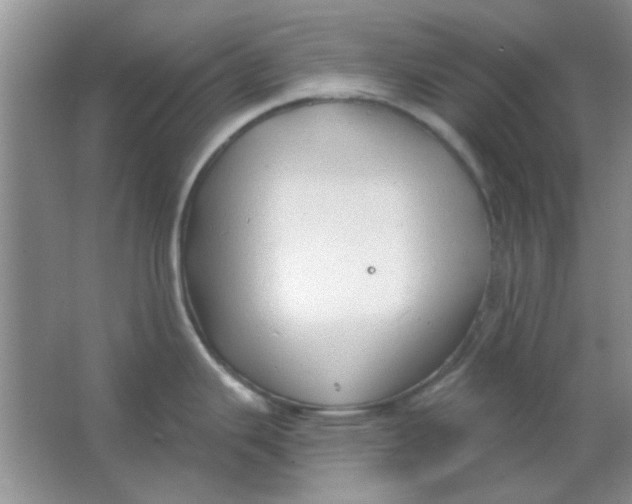 X0000063531343200602102007