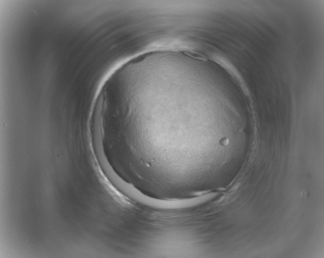 X0000063531344200602102007