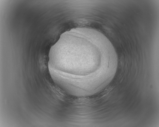 X0000063531346200602102007