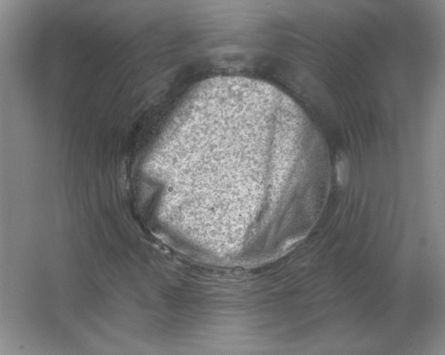 X0000063531347200602102007