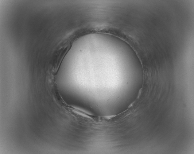 X0000063531349200602102007