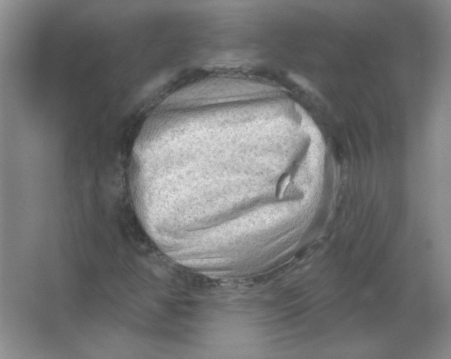 X0000063531350200602102007