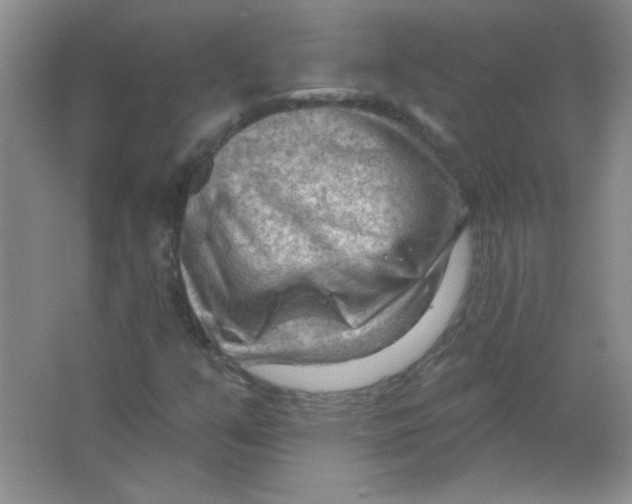 X0000063531351200602102007