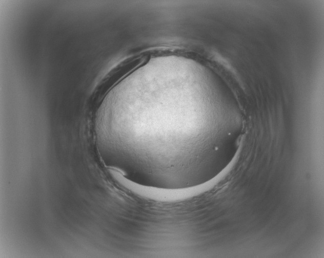 X0000063531352200602102007