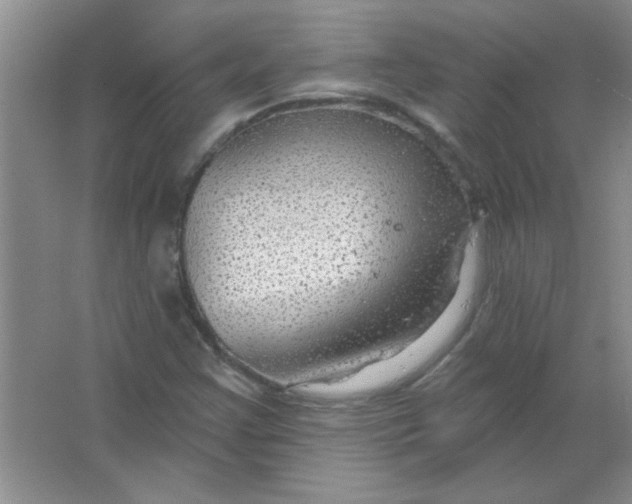 X0000063531355200602102007