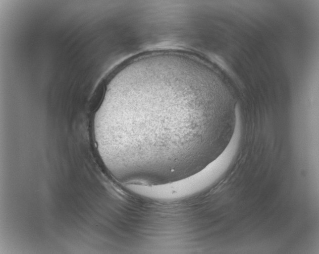 X0000063531356200602102006