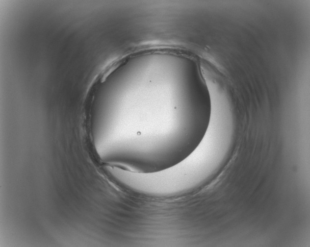 X0000063531357200602102006