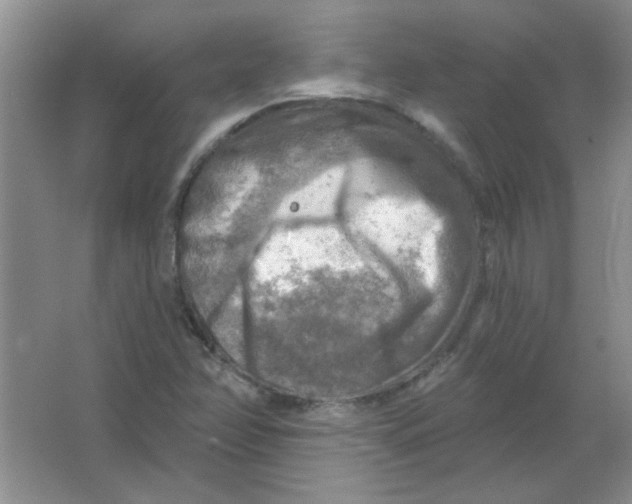 X0000063531358200602102006