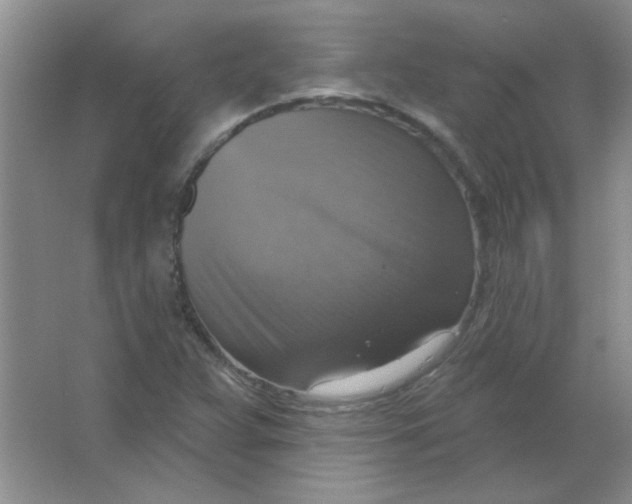 X0000063531359200602102006