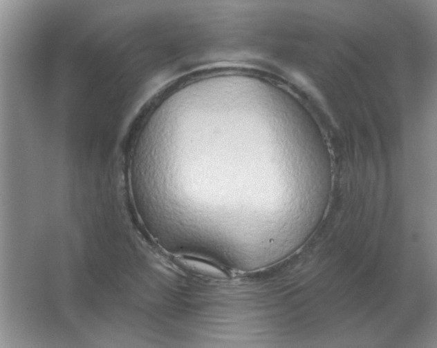 X0000063531360200602102006