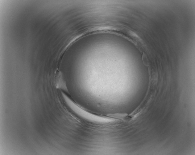 X0000063531361200602102006