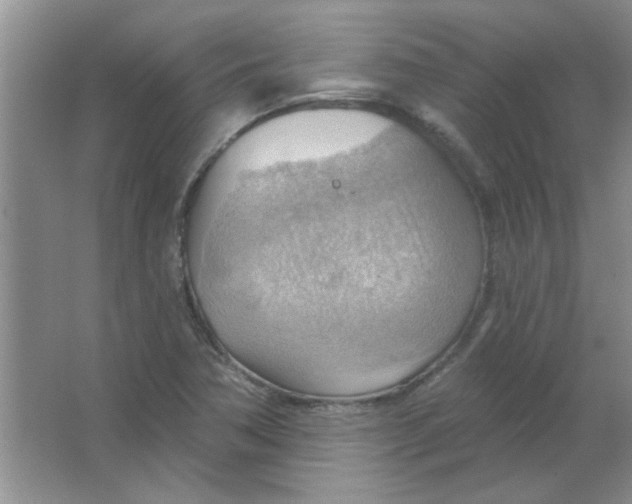 X0000063531362200602102006