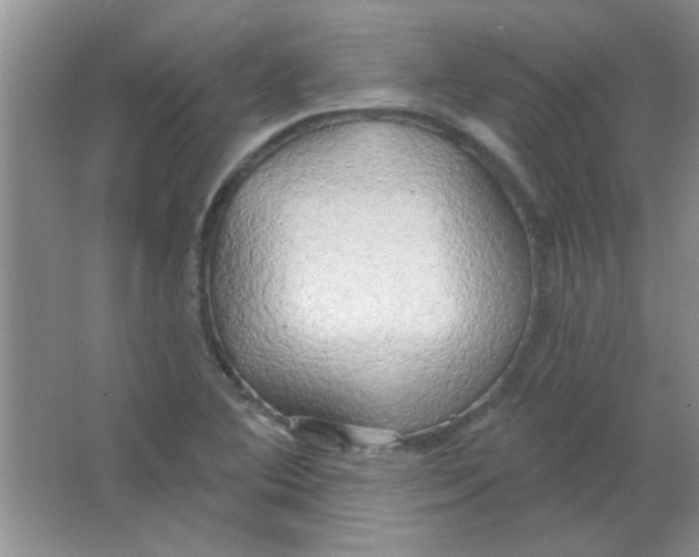 X0000063531364200602102006