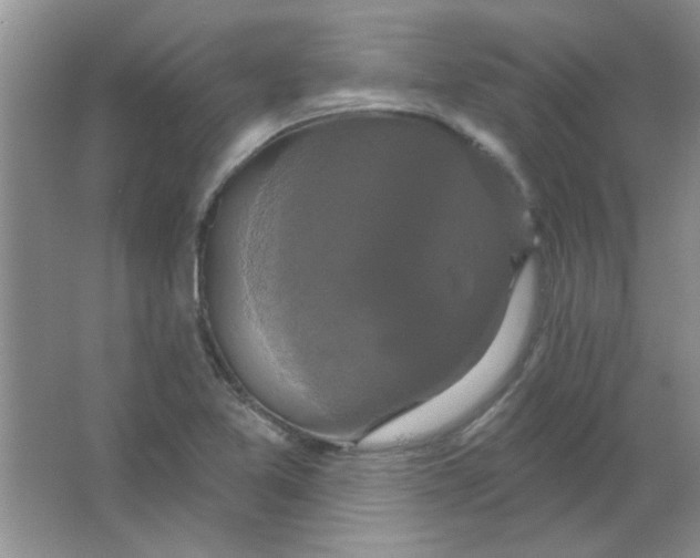 X0000063531365200602102006