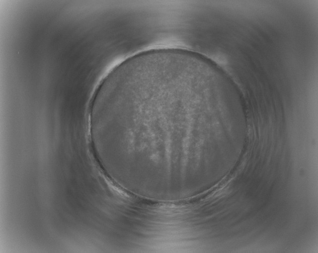 X0000063531366200602102006