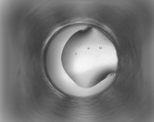 X0000063531368200602102006