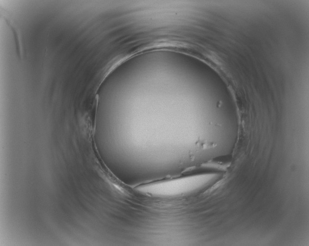 X0000063531369200602102006