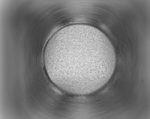 X0000063531370200602102006