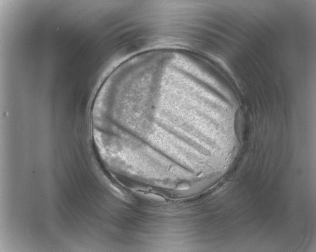 X0000063531371200602102006