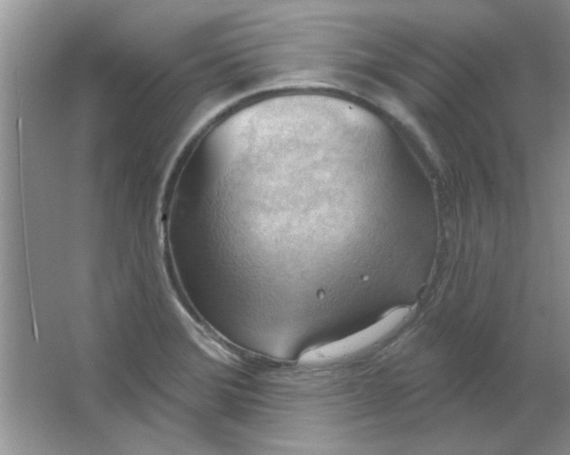 X0000063531372200602102006