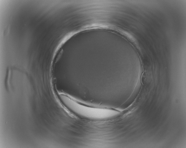 X0000063531373200602102006